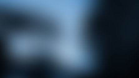 network and server management in Springfield