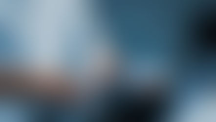 springfield it consultant