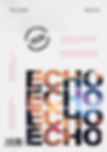 ECHO MAGAZINE: Concept Project