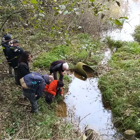Laboratorio gratuito su "𝗥𝗜𝗖𝗢𝗡𝗢𝗦𝗖𝗘𝗥𝗘 e identificare le piante"