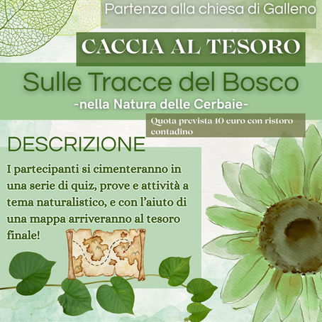 “Sulle Tracce del Bosco – Caccia al Tesoro nella Natura delle Cerbaie” Domenica 6 luglio