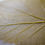 Thumbnail: Yalanji (veggie - grape leaves rolls)