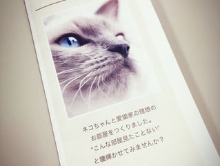 ネコちゃんの為のお部屋探しお手伝いします