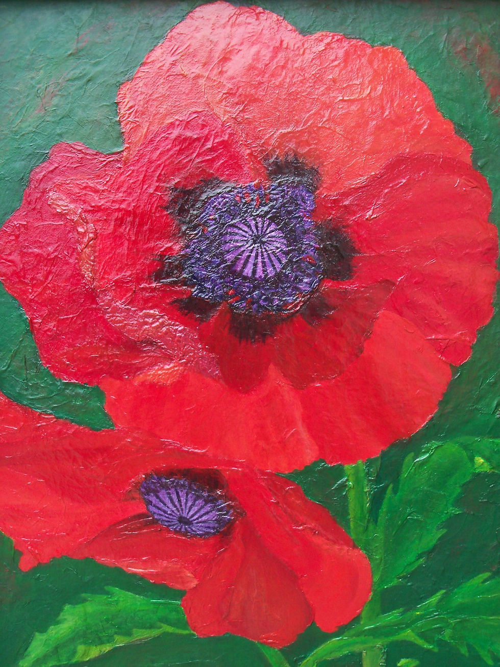Poppy