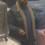 Criminal Mischief (Stony Brook)