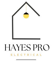 Hayes Pro electrical.jpg