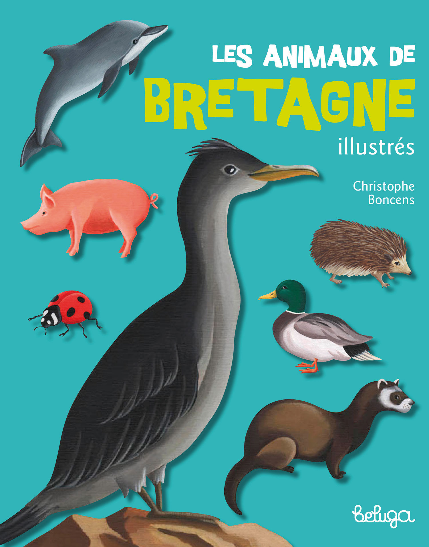 Les Animaux de Bretagne illustrés