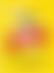 [불금파티 - 날아라 병아리] 2016. 5. 27. fri. 19:30 @ CATs 사상인디스테이션