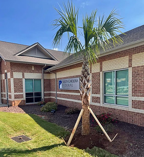 blythewood palms of greer sc
