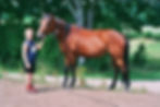 Image horse and boy.jpg