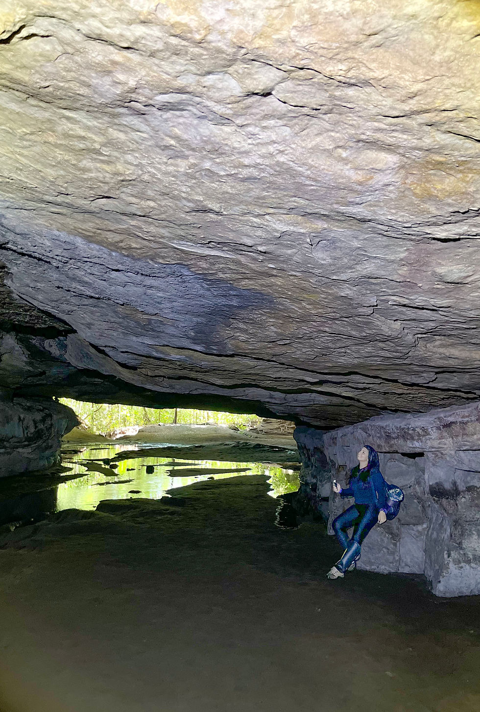 Miniatura: CAVERNA AROE JARI