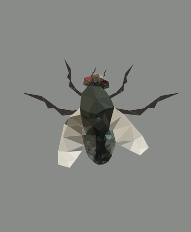 Boekje xenos