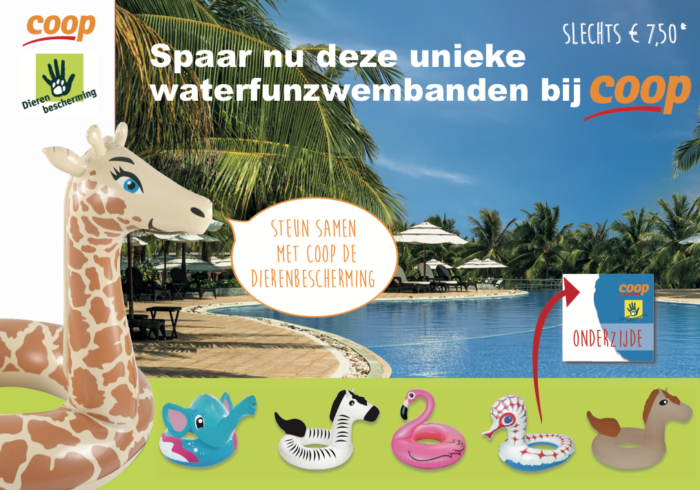 Ontwerp inflatables