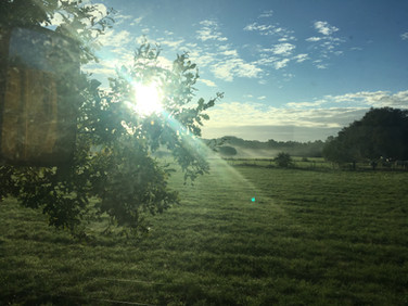 image00157.jpeg