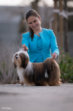 FeHoVa 02.2024
Léka Gyöngye Johanna - Happy
Handler: Ivett Szopkó