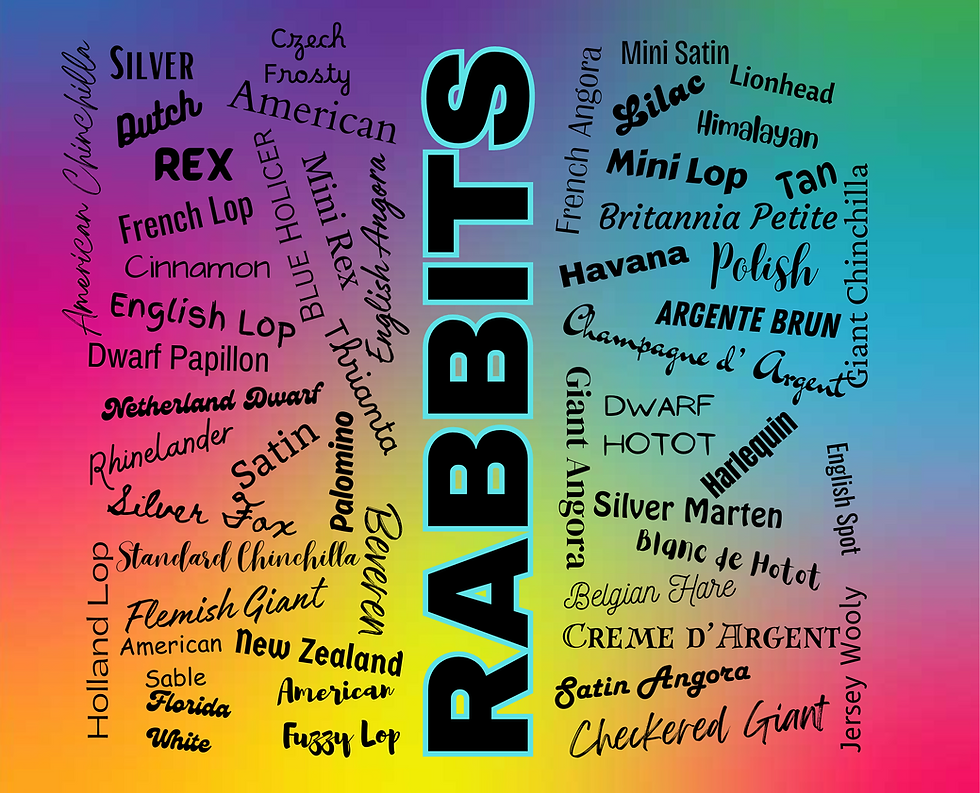 Thumbnail: "Rabbits" Tumblers 20oz.