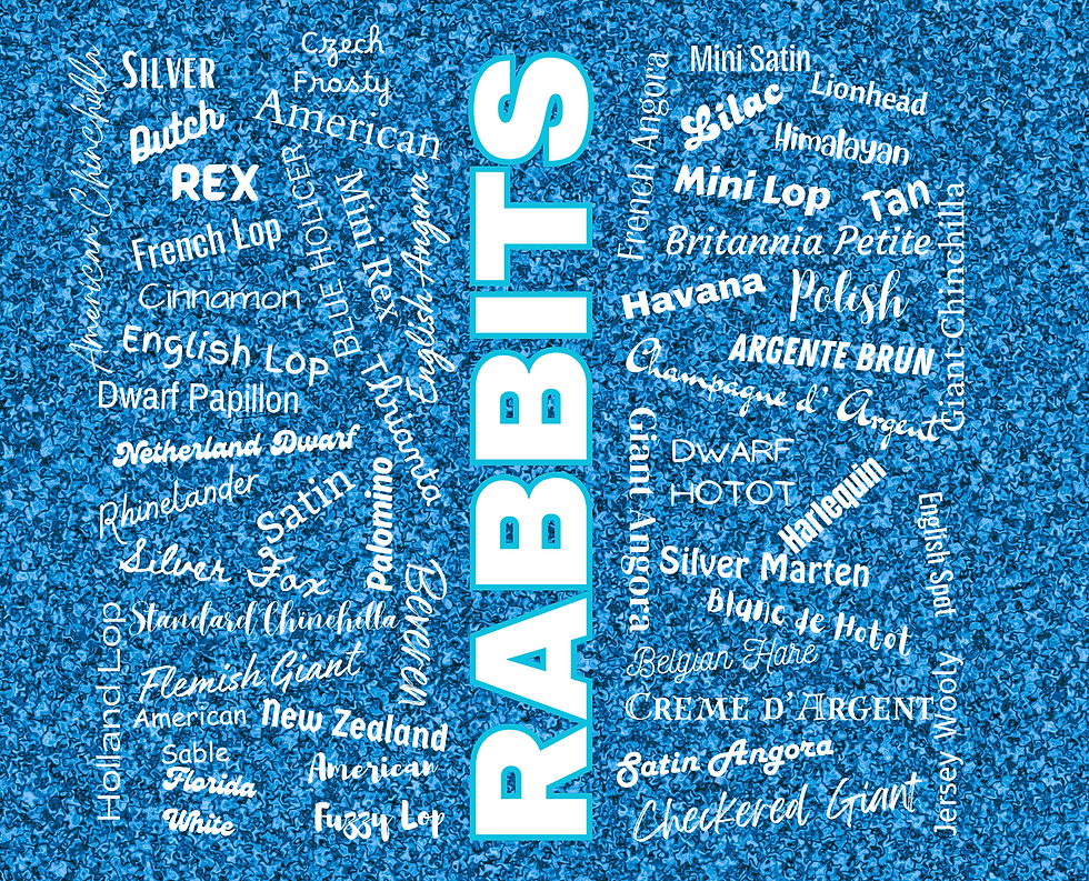 Thumbnail: "Rabbits" Tumblers 20oz.