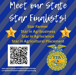 Star Finalist videos (1).png