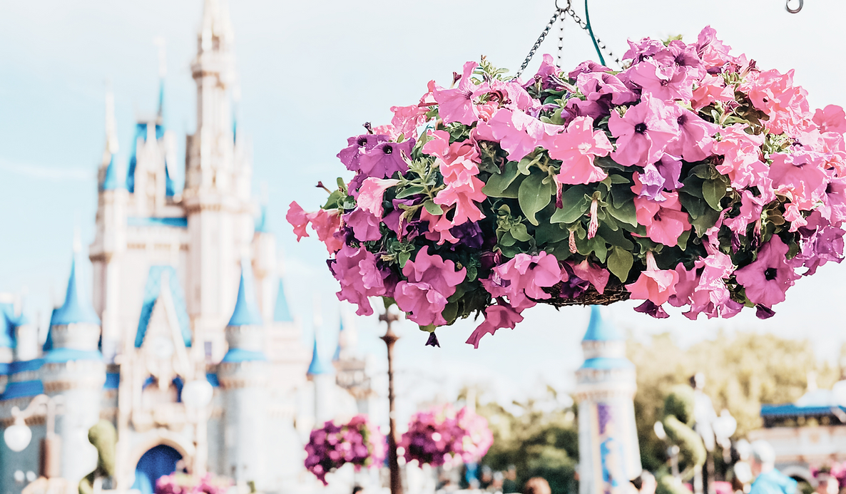 Ani McHugh Travel (5).png