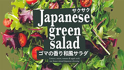 salad32.jpg