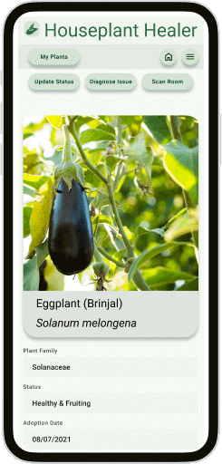 HH_Mobile_Mockup_Flow 5_512p-25fps.gif