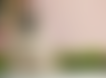 Perdeu-se a REFERÊNCIA