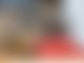 ALIMENTAÇÃO NATURAL X FELINOS