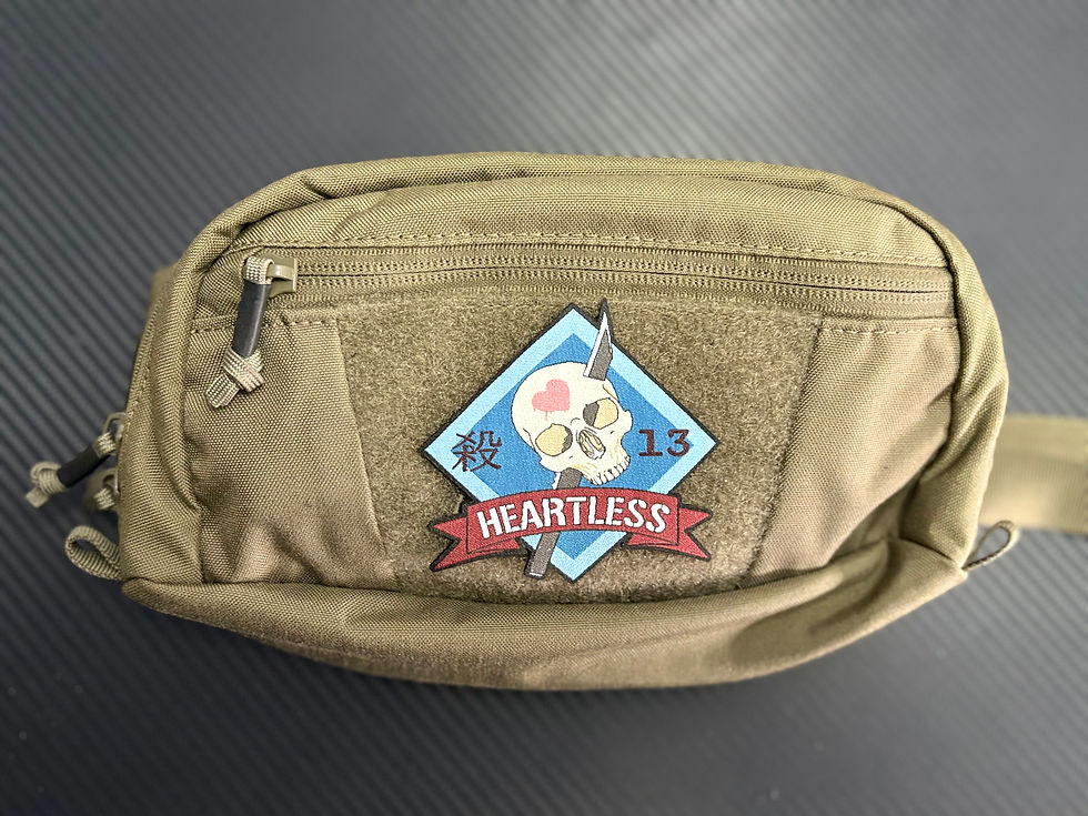 Thumbnail: titanfall 2 insignia patch on waistpack