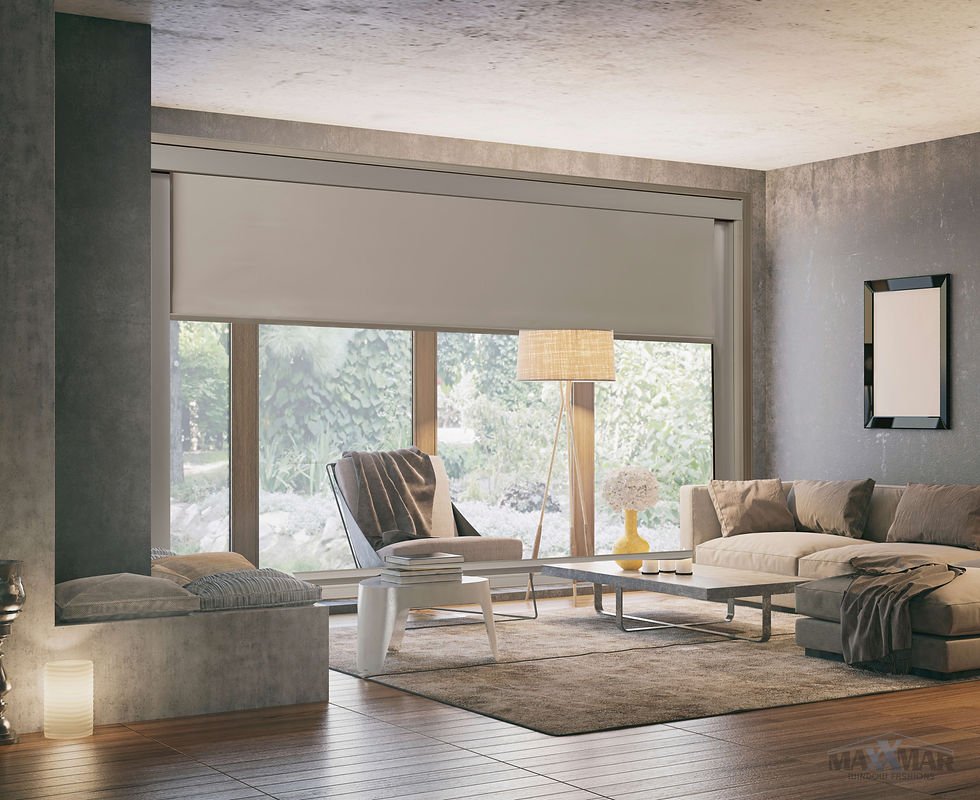 Roller Shade - Blackout Frame System 1.jpg