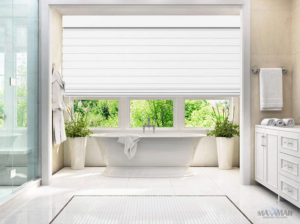 Roman Shade - Flat 2.jpg