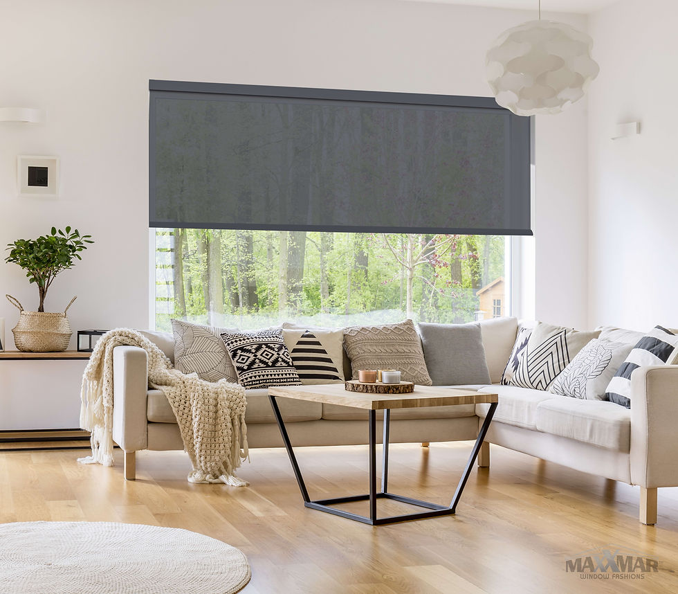 Roller Shade - Square 3 .jpg
