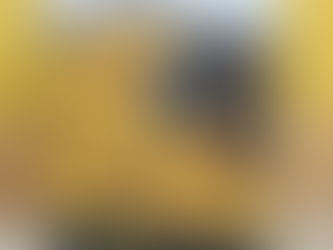 フォトブックの写真