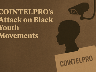 COINTELPRO's Surveillance of Black Youth Movements: A Historical Insight.