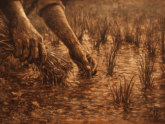 An archival style illustration of skilled hands at work tending rice fields.