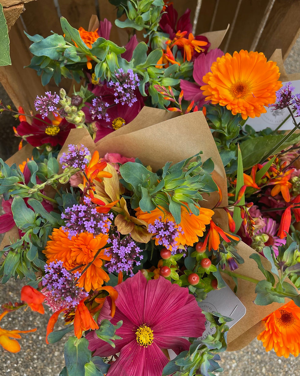 Thumbnail: Bright Summer flowers Cosmos Calendula Cerinthe major