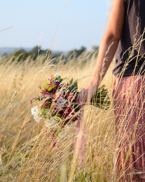 British seasonal flowers, flower farm grown near Bath