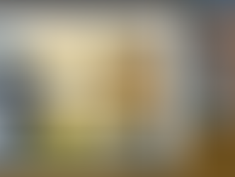 Стрітенський герць: Козацька варта