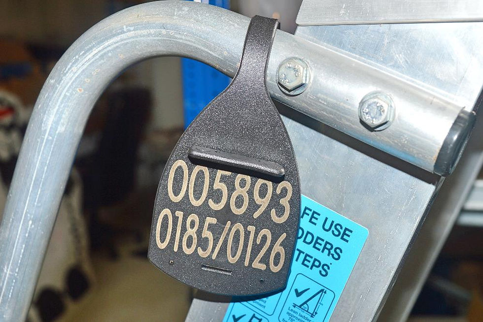 Thumbnail: Luggage Tags