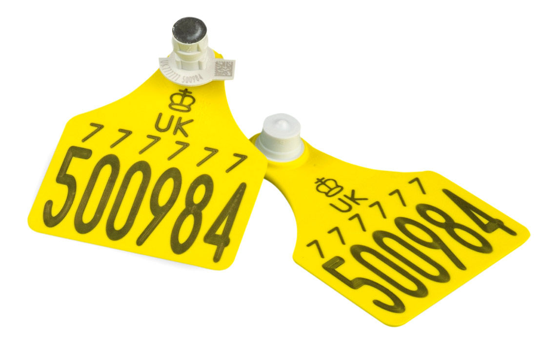 Allflex Primary & Tissue Sampling Tags