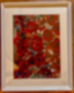 Coquelicots