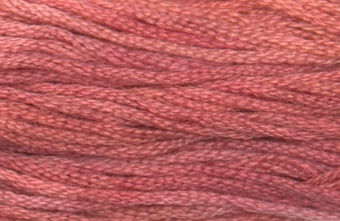 ANTIQUE ROSE GA 7014