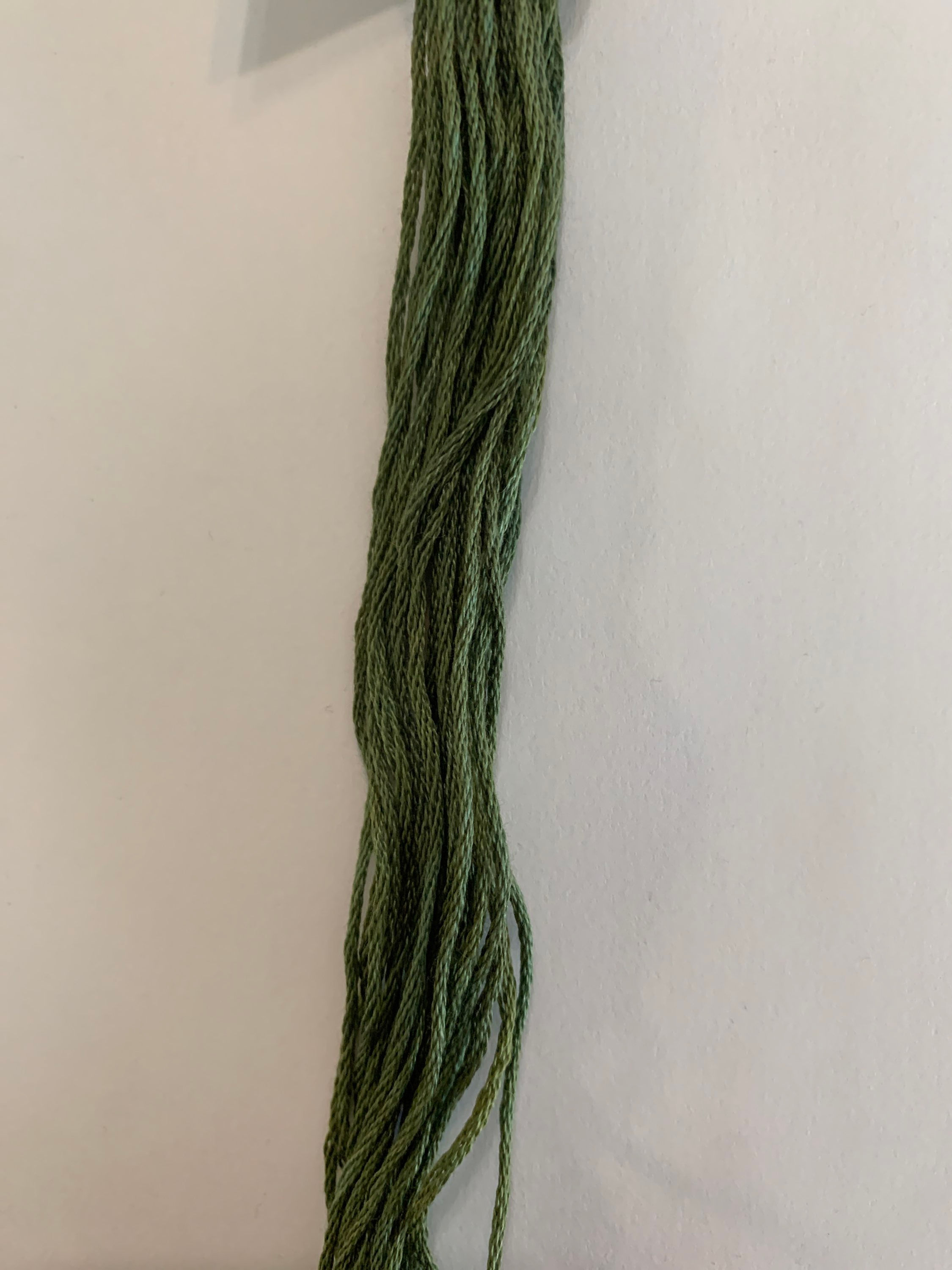 Bounty Hunter 1012 Forbidden Fiber