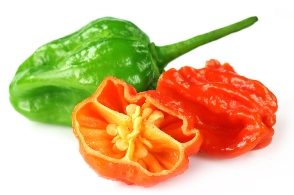 Scotch Bonnet Pepper