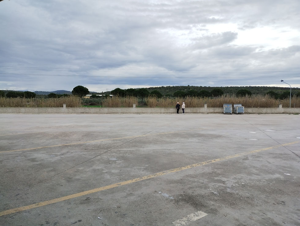 In and around Ayvalik