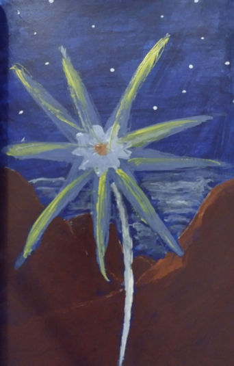 Starflower in a strange world
