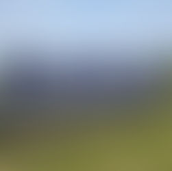 신안 퍼플섬 여행