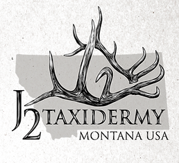 J2 Taxidermy - L6b (2)_edited_edited.png