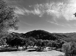 Carmel Valley
