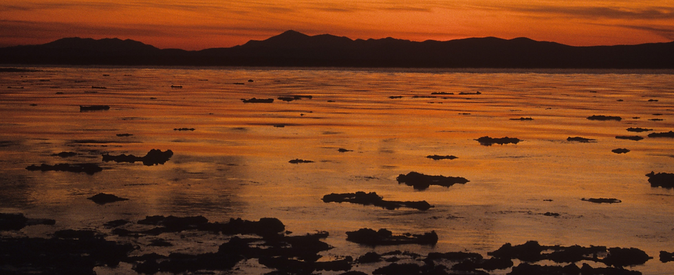 TGC2 - Inland Sea Cover.png