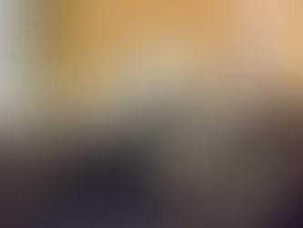 Sifa 2017 Picture Gallery